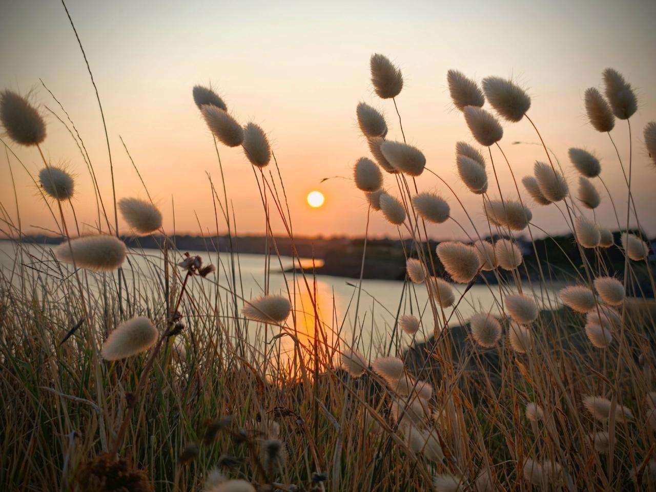 Coucher de soleil à la plage de Bellangenet avec quelques lagures ovales